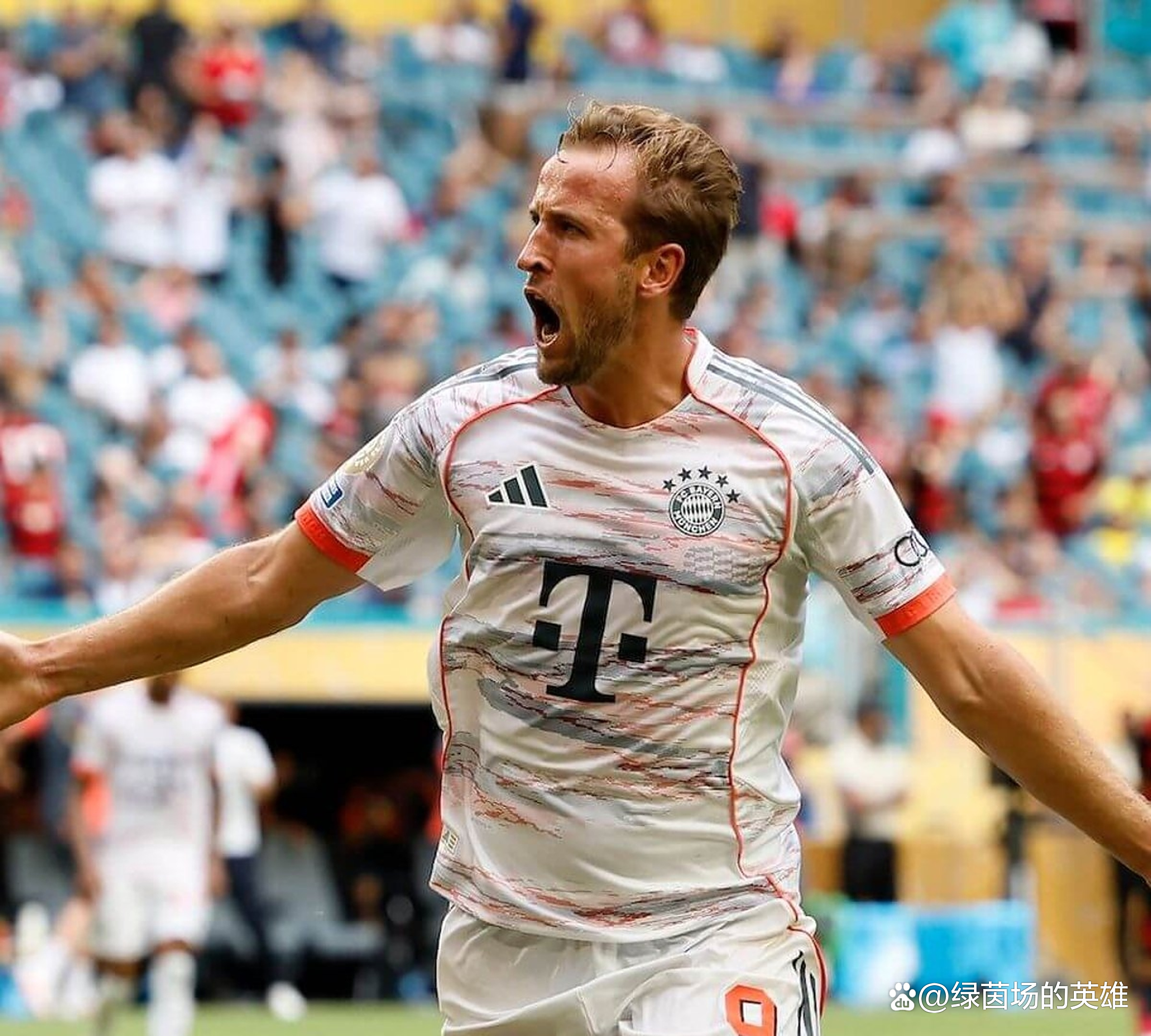 关于韩国完胜比利时,哈里·凯恩打破历史纪录的信息 关于韩国完胜比利时,哈里·凯恩打破历史纪录的信息