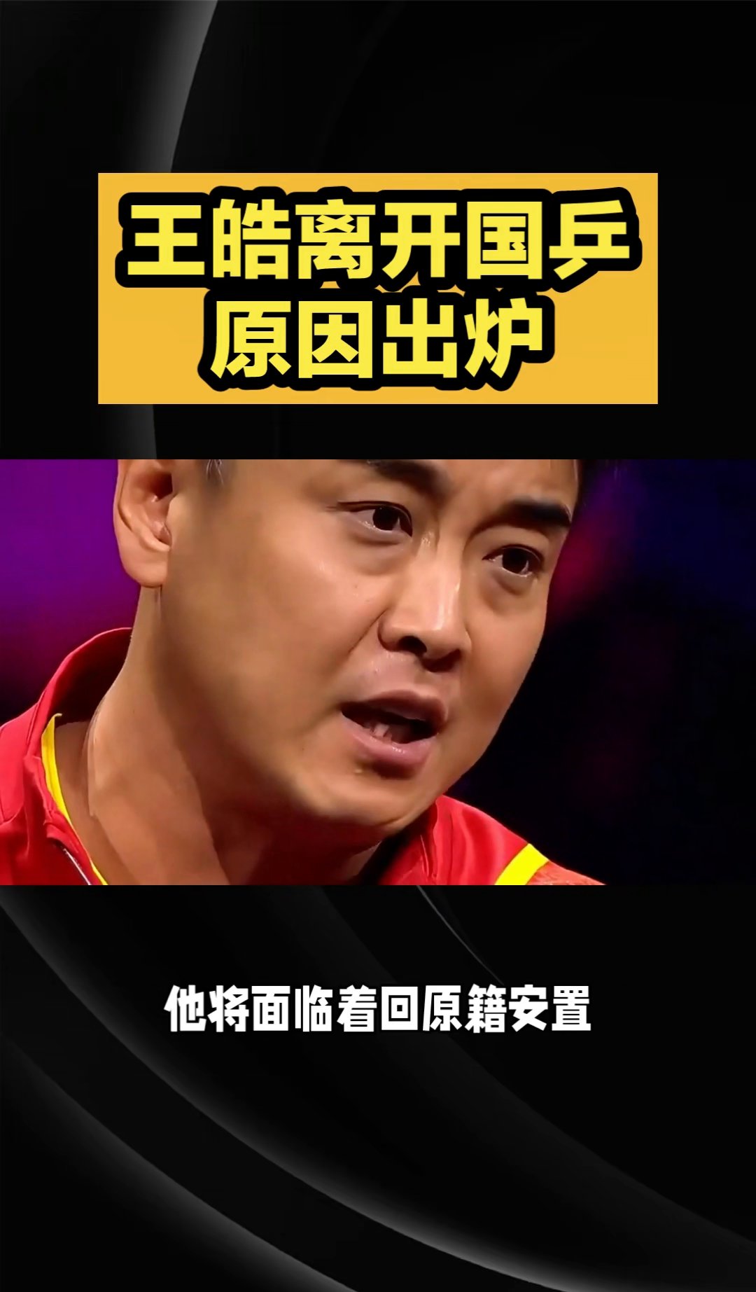 米兰登录入口-关于德国乒乓球队血洗瑞典乒乓球队，王皓绝境逆转的信息