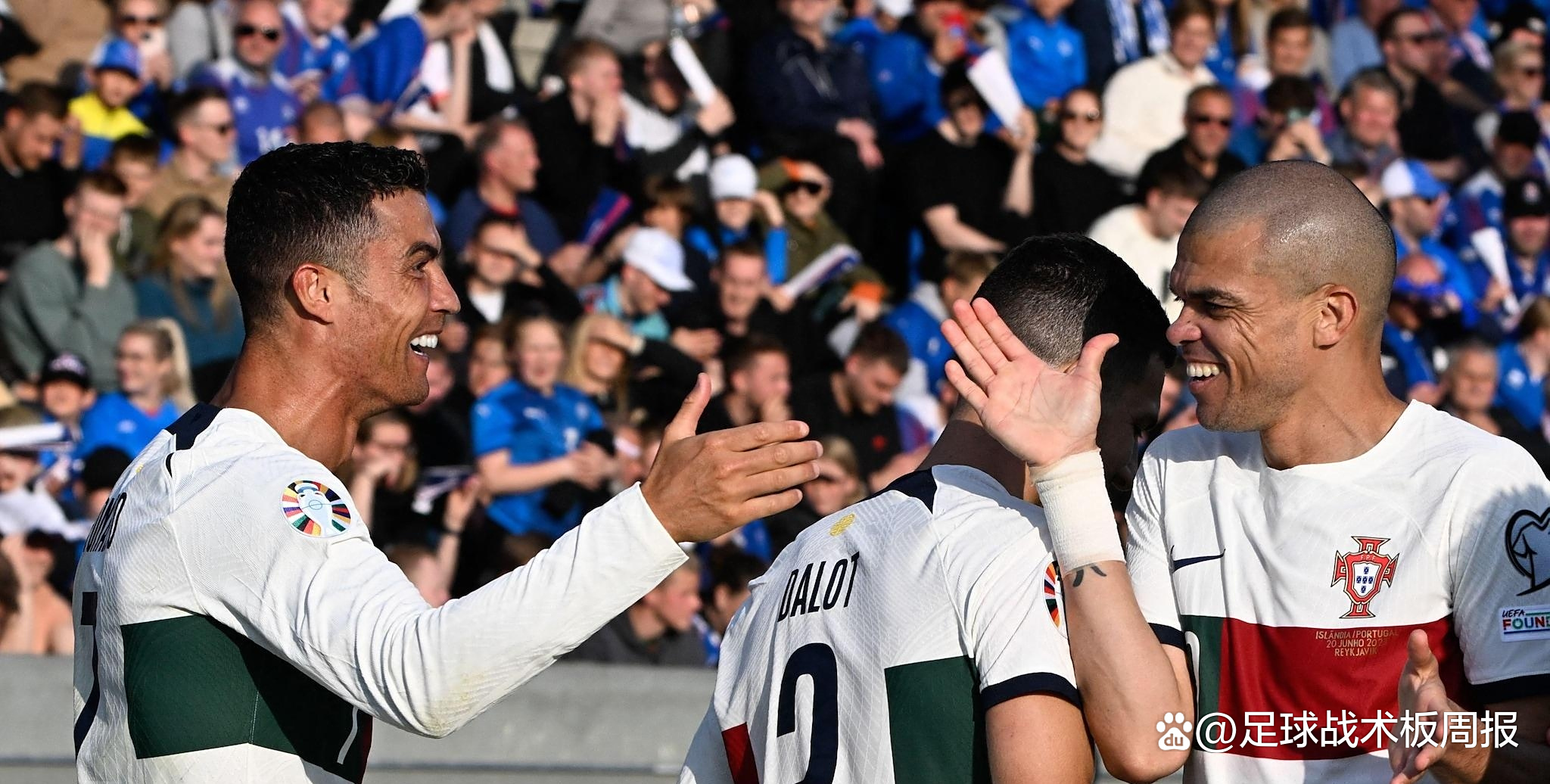 挪威队壮烈一战,球迷为英雄欢呼的简单介绍 挪威队壮烈一战,球迷为英雄欢呼的简单介绍