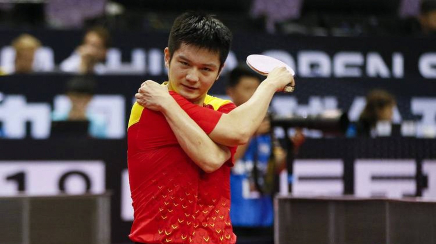 法国队逆转德国队，樊振东统治全场的简单介绍