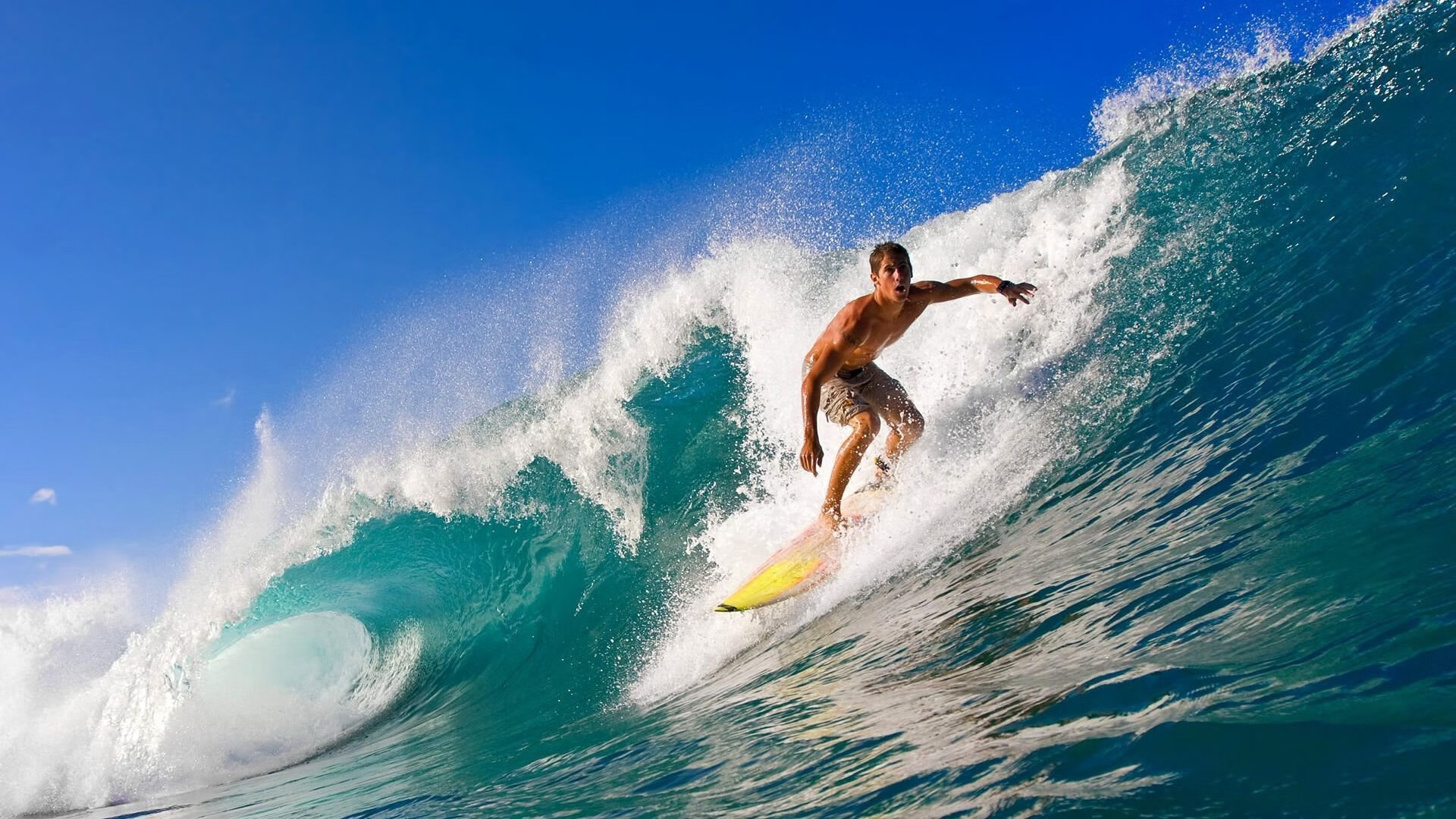 班凯罗稳定输出不掉线，黄蜂碾压山西队